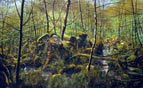 Corporal Wayne Mills CGC in action near Gorazde, Bosnia, 29th April 1994